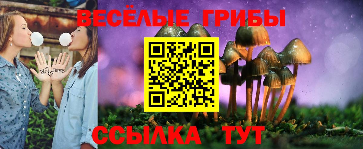 Псилоцибиновые грибы Psilocybine cubensis Еманжелинск